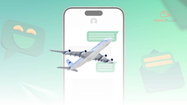 airpplane travel sms case
